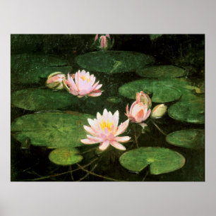 Waterlilies, fine art painting by Abbott Thayer Poster
