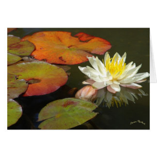 Waterlilies I