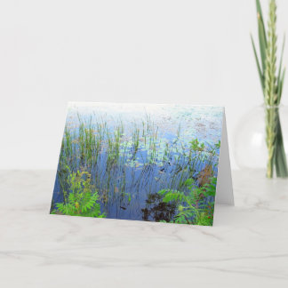 Waterlilies, Sharon CT Card