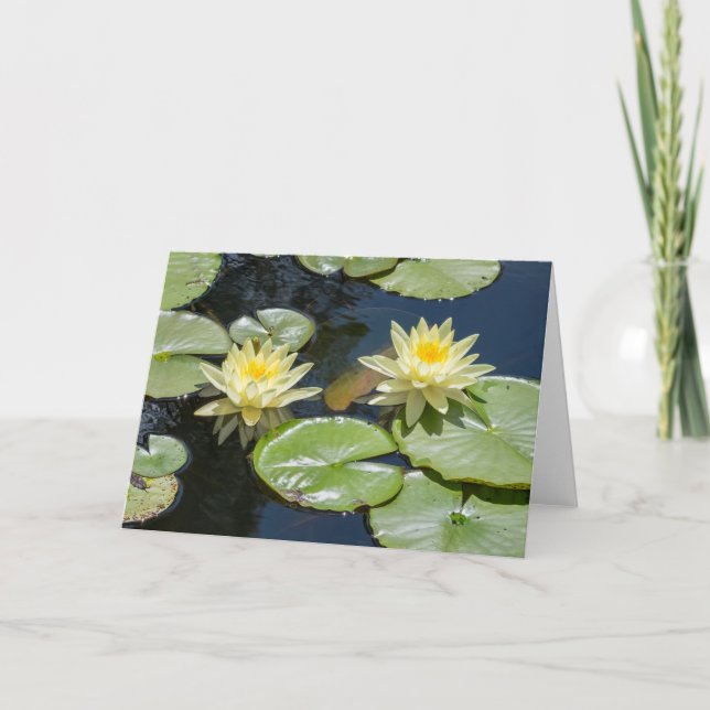 Waterlily Blank Note Card (Front)