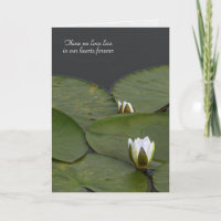 waterlily bud with lily pads sympathy