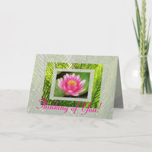 Waterlily Card
