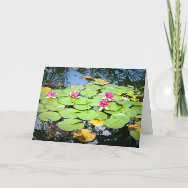 Waterlily Card (Front)