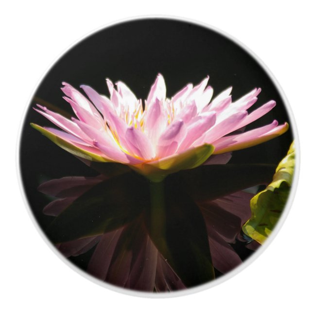 Waterlily Ceramic Knob (Front)