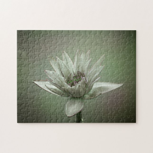 Waterlily green tone puzzle (Horizontal)