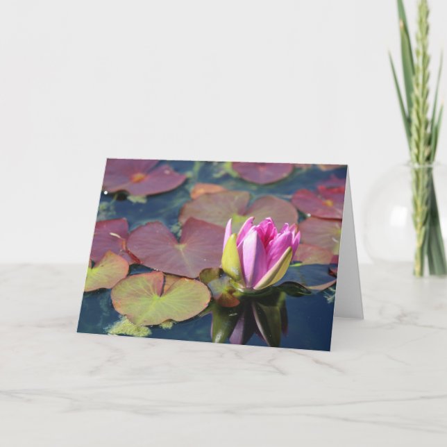 Waterlily greeting card (Front)