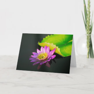 Waterlily Greeting Card