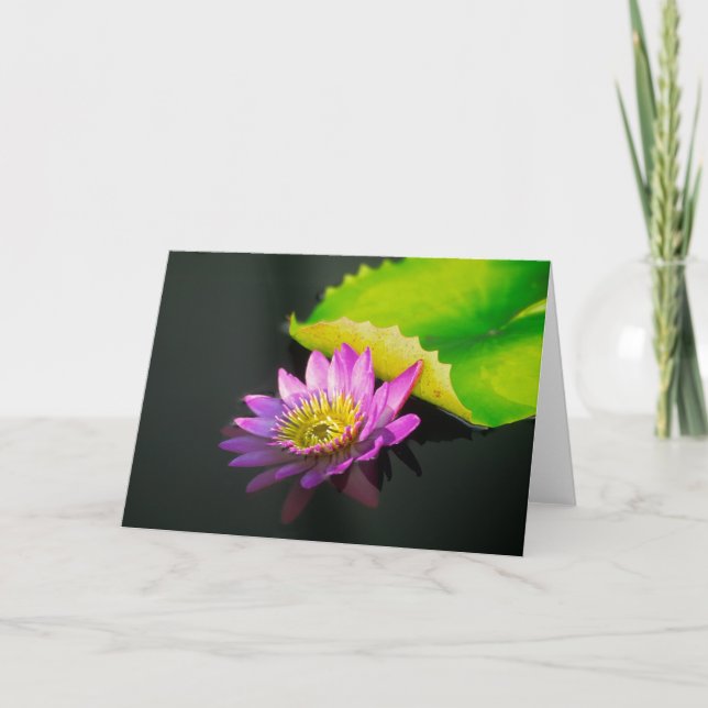 Waterlily Greeting Card (Front)