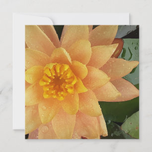 Waterlily heart card