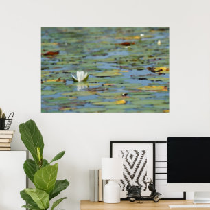 Waterlily Lake Flower Watercolor Poster