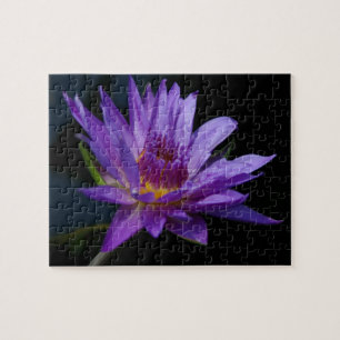 Waterlily Lotus Jigsaw Puzzle
