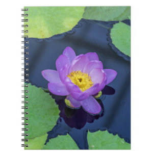 Waterlily notebook