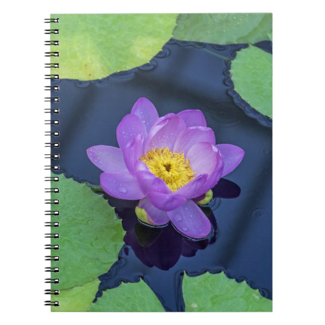 Waterlily notebook (Front)