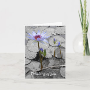 Waterlily Standing Beauty Thinking Of You Card
