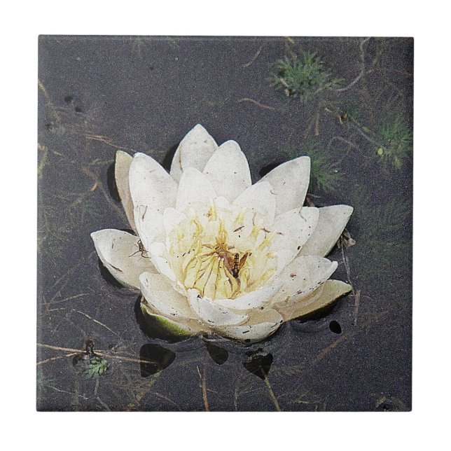 Waterlily Tile (Front)