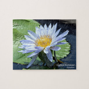 Waterlily Water Lily Jigsaw Puzzle Game