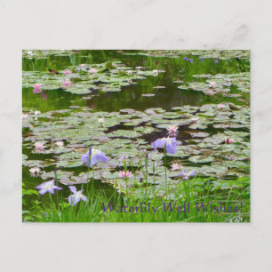 Waterlily Well Wishes! Postcard