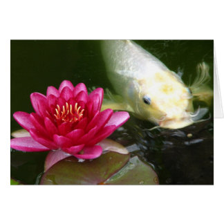 Waterlily with Koi