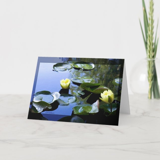 Waterlily Yellow Card (Front)