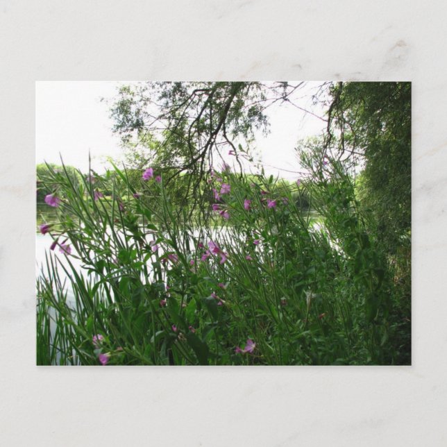 Watermead Country Park Postcard (Front)