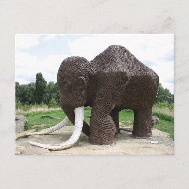 Watermead Country Park Postcard (Front)