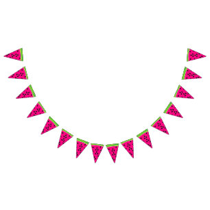 Watermelon Bunting Banner Pink Green Party Decor