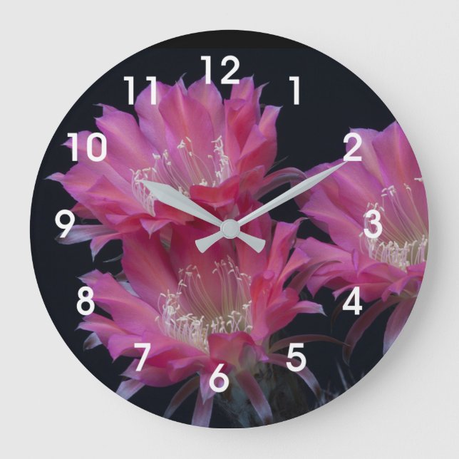 Watermelon Cactus Surprise Large Clock (Front)