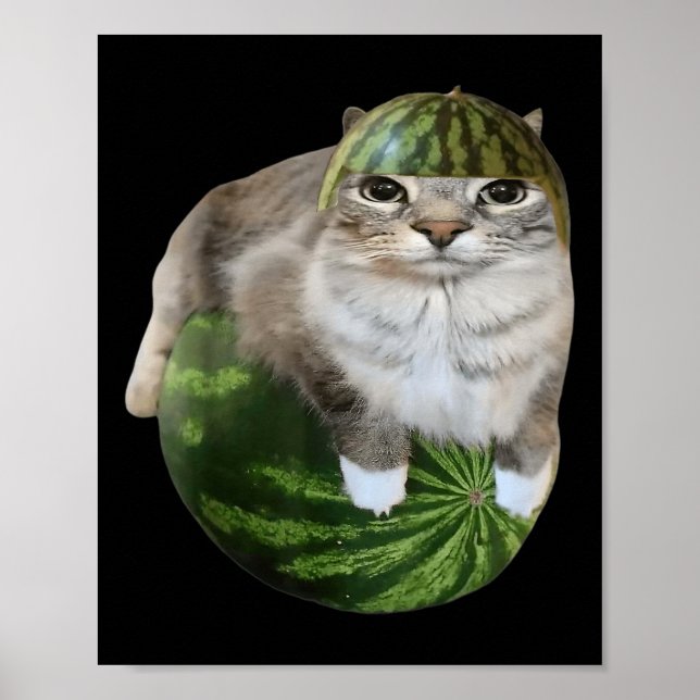 Watermelon Cat Funny Meme  Poster (Front)