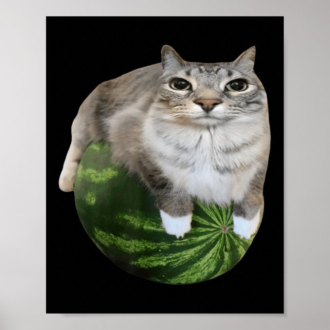 Watermelon Cat Silly Cat Meme  Poster (Front)