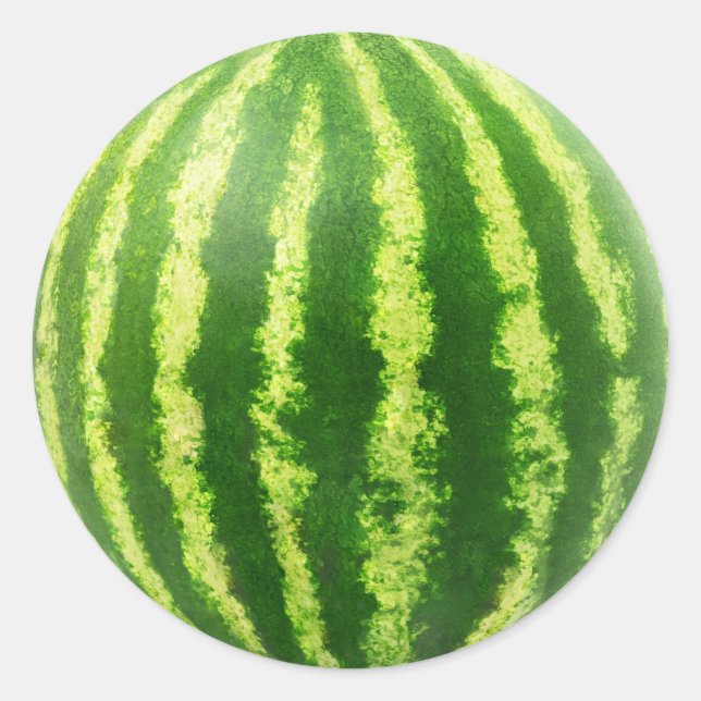 Watermelon closeup classic round sticker (Front)
