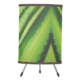 WATERMELON PALM LAMP