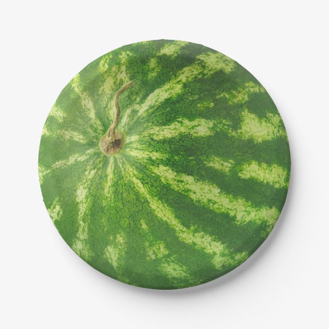 Watermelon Paper Plate (Front)