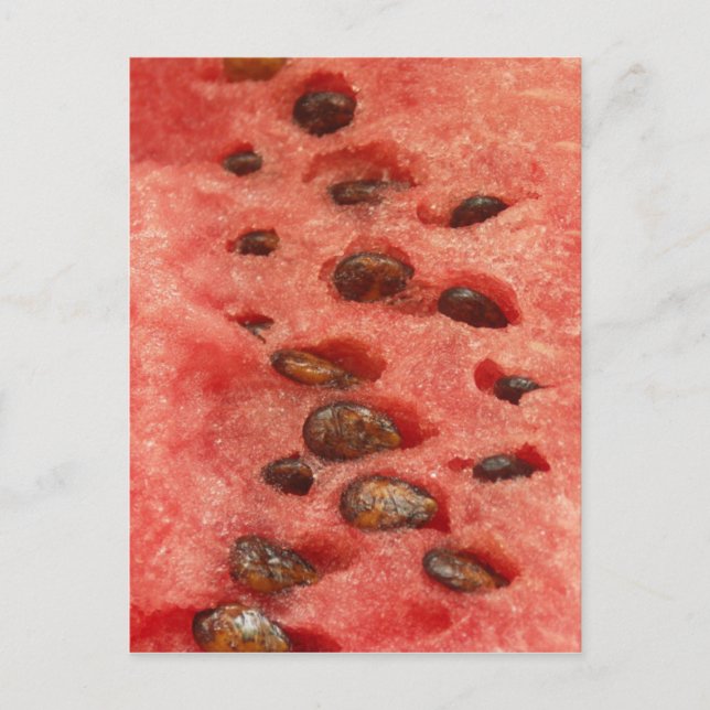 Watermelon Postcard (Front)