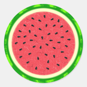 Watermelon Slice Summer Fruit with Rind Classic Round Sticker