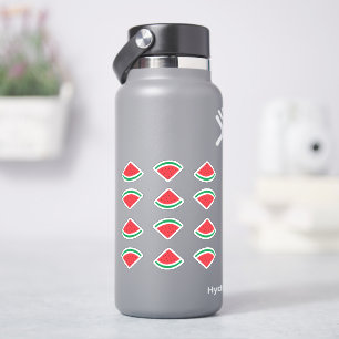 Watermelon Wedge Sticker Pack