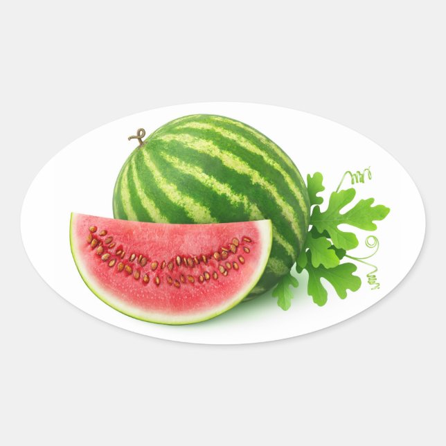 Watermelons Oval Sticker (Front)