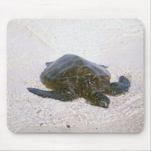 Water's edge mouse pad