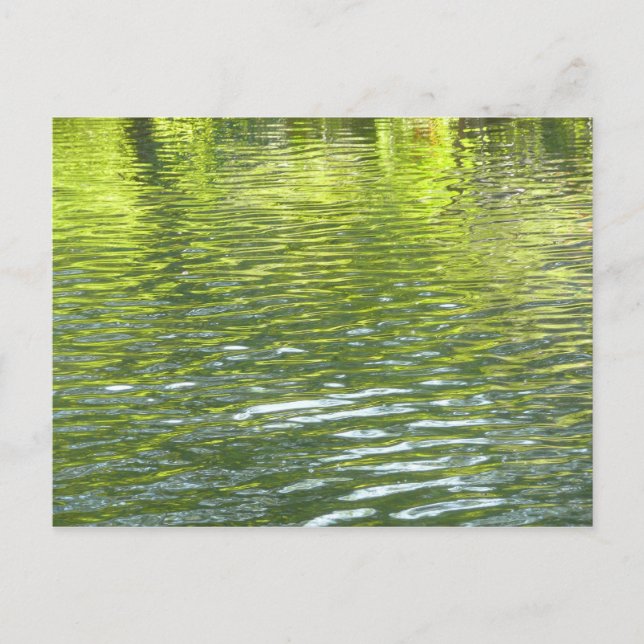 Waters of Oak Creek Yellow and Green Nature Photo Postcard (Front)