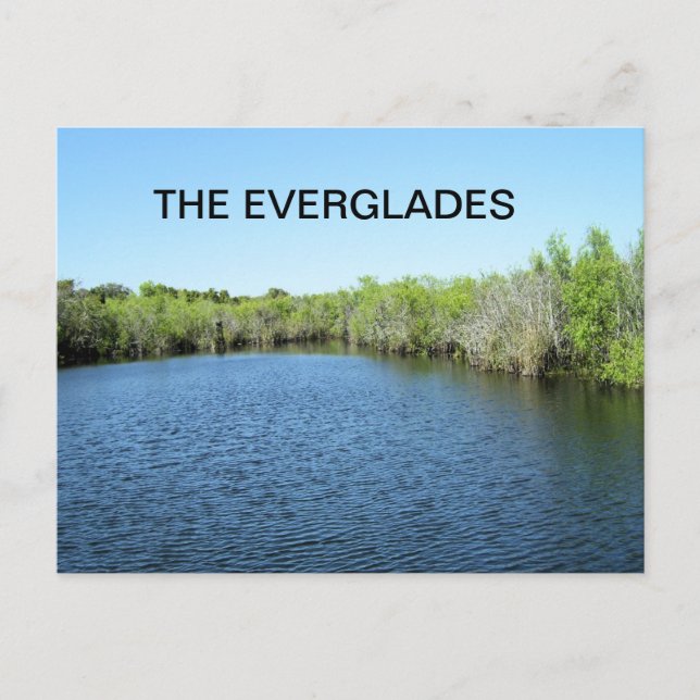 WATERS OF THE EVERGLADES POSTCARD (Front)