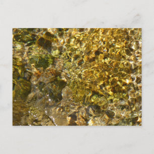 Waters of the Kaweah River Postcard