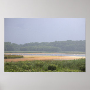 Waterscape Photo Poster 