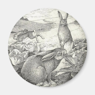 Watership Down Magnet