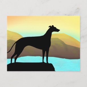 Waterside Greyhound Dog Landscape Postcard