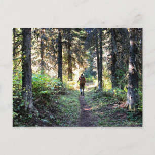 Waterton Valley Detail - Glacier National Park Postcard