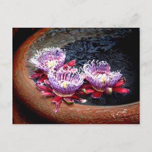 Watervase Garden Postcard