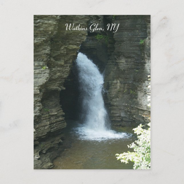 Watkins Glen, NY Postcard (Front)