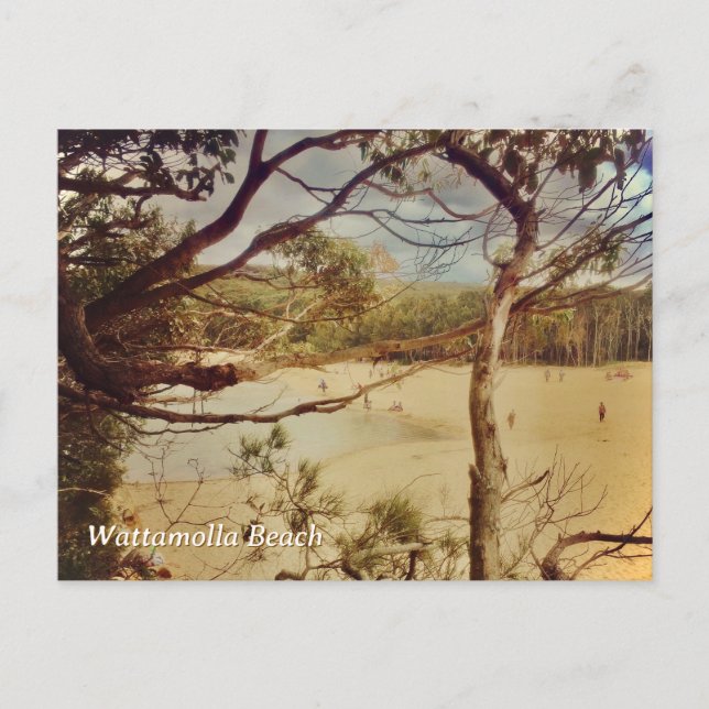 Wattamolla Beach, NSW Postcard (Front)