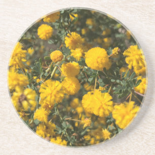 Wattle Coaster