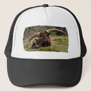 Watusi Cow Trucker Hat