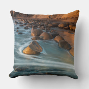 Wave along the beach, California Cushion